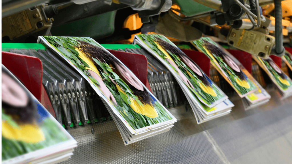 brochures being printed